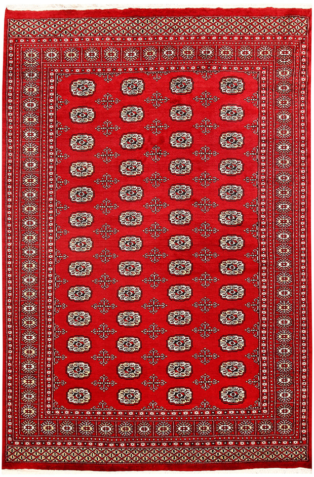 Red Bokhara 6'  1" x 9'  1" - No. QA53301