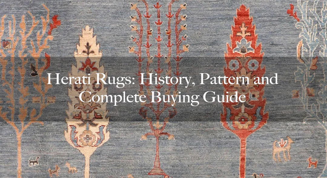 Herati Rugs: History, Pattern and Complete Buying Guide