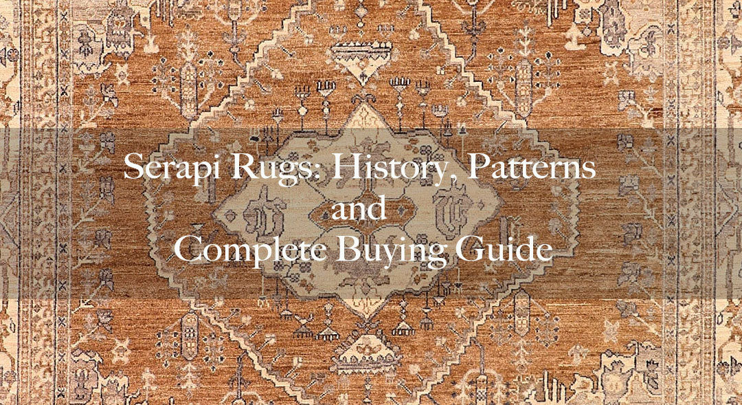 Serapi Rugs: History, Patterns and Complete Buying Guide