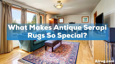 What Makes Antique Serapi Rugs So Special?
