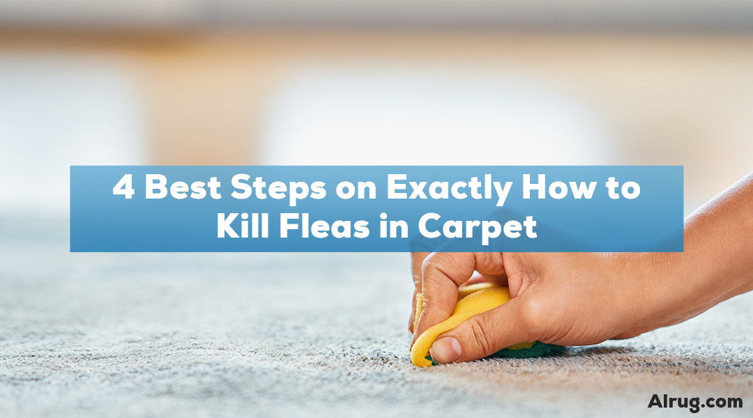 How to Kill Fleas in Carpet