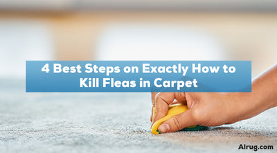 4 Best Steps on Exactly How to Kill Fleas in Carpet