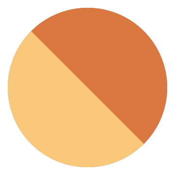Hand-Knotted Orange Wool Rugs
