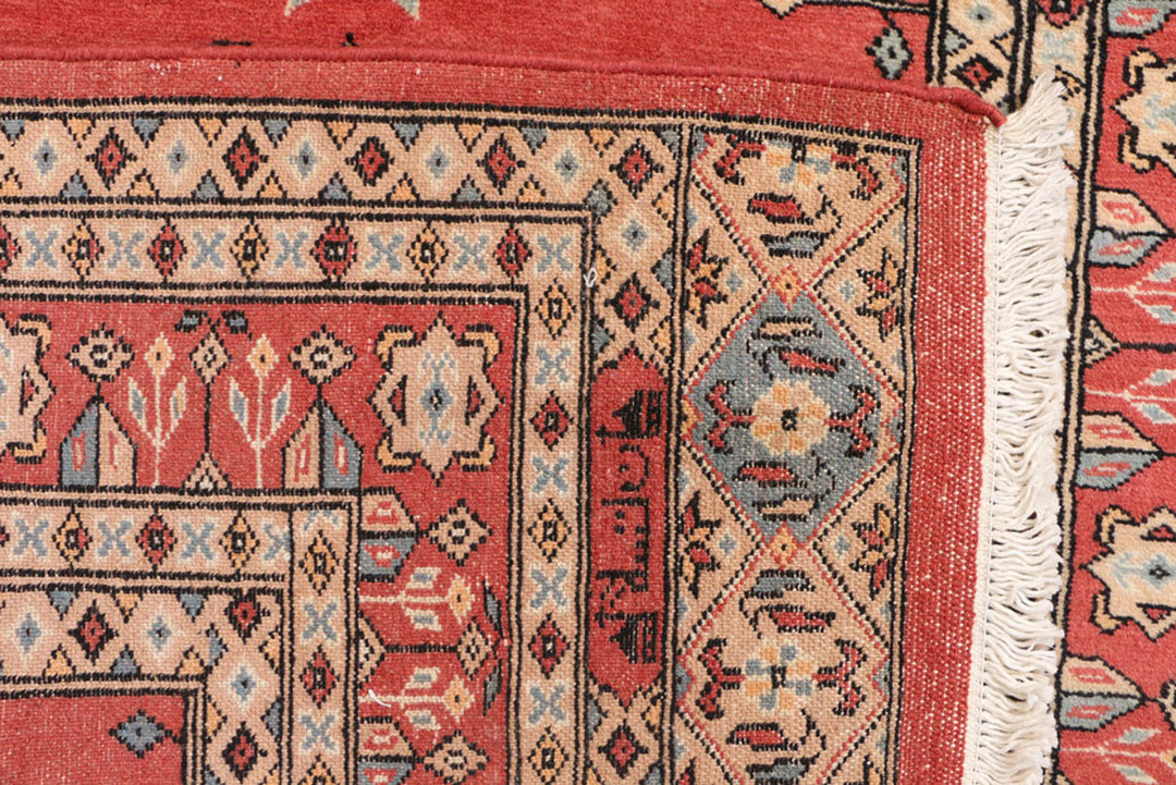 Tomato Caucasian 3'  5" x 6' " - No. QA57567