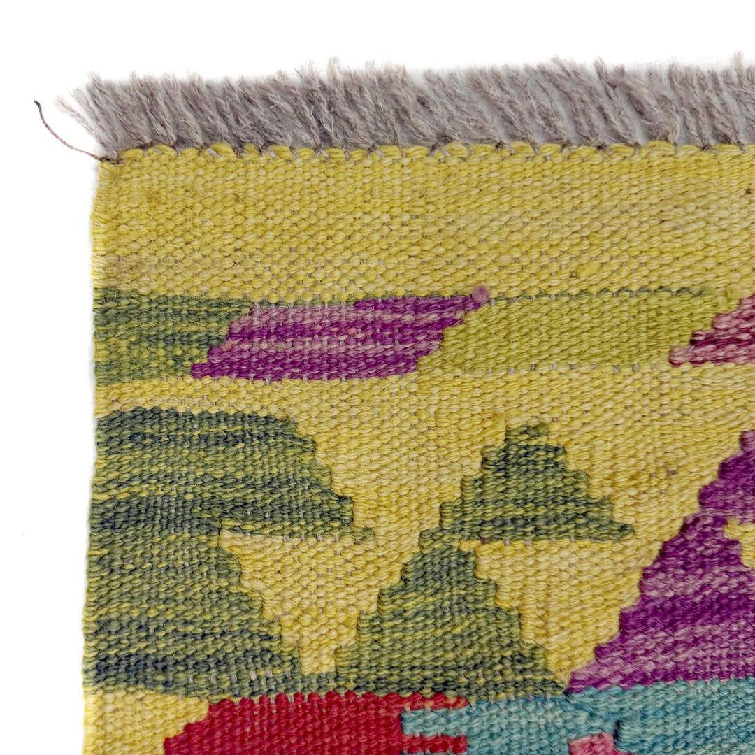Afghan Vegetable Kilim Rug 2' 7" x 9' 9" Flat-Weave | No. AL111702