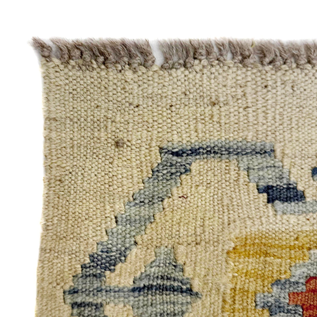Afghan Vegetable Kilim Rug 2' 7" x 3' 10" Flat-Weave | No. AL115394
