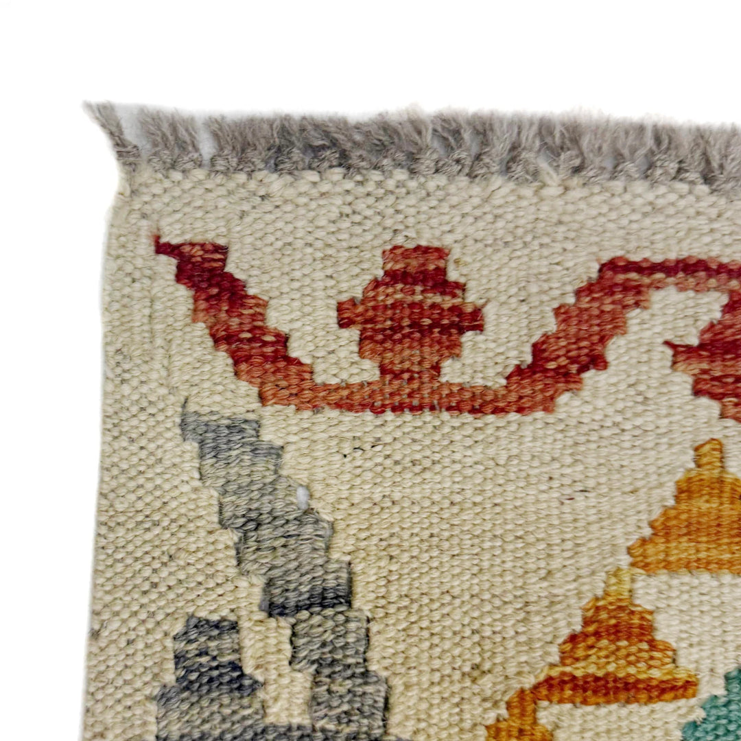 Afghan Kilim Rug 2' 10" x 10' 6" Flat-Weave | No. AL12912