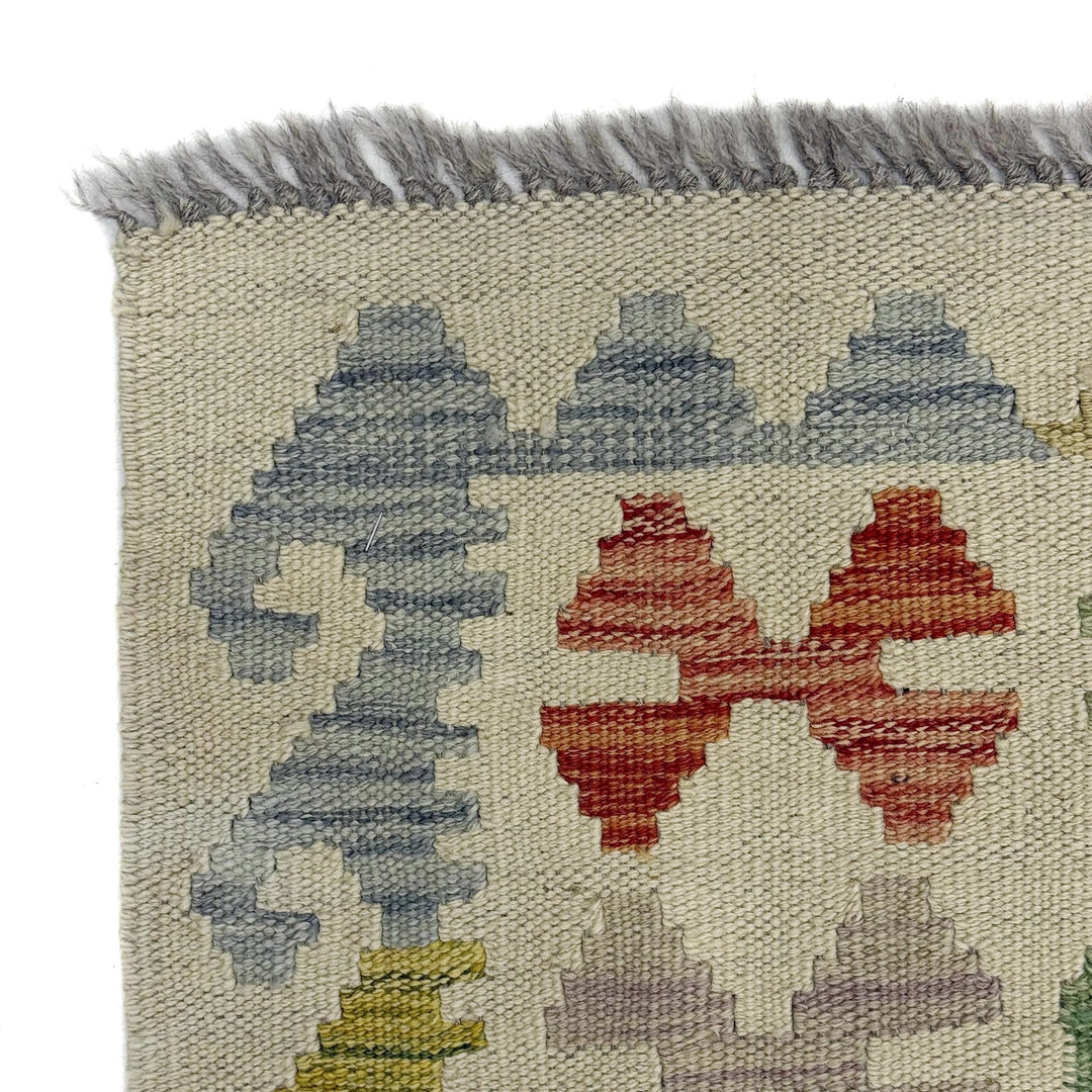 Afghan Kilim Rug 2' 9" x 4' 2" Flat-Weave | No. AL14627