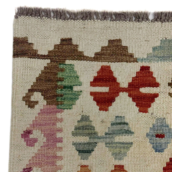 Afghan Vegetable Kilim Rug 2' 8" x 9' 8" Flat-Weave | No. AL159635