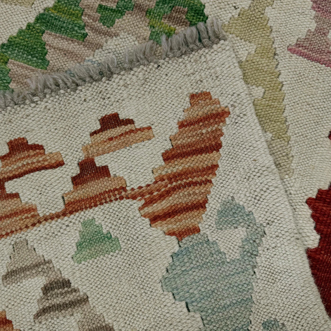 Afghan Vegetable Kilim Rug 2' 0" x 5' 9" Flat-Weave | No. AL162912