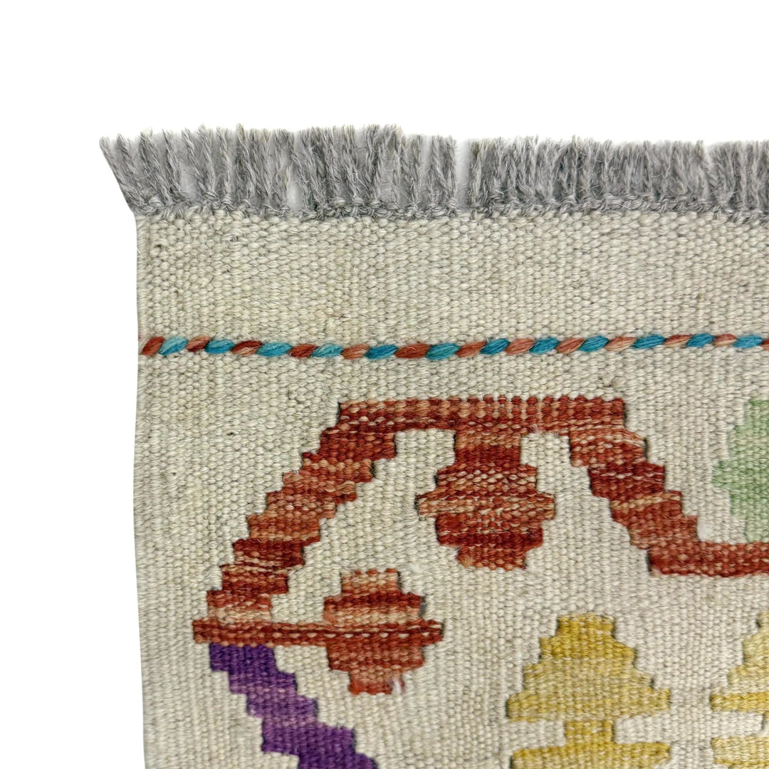 Multicolor Afghan Vegetable Kilim Rug 2' 8" x 9' 7" Flat-Weave | No. AL16378