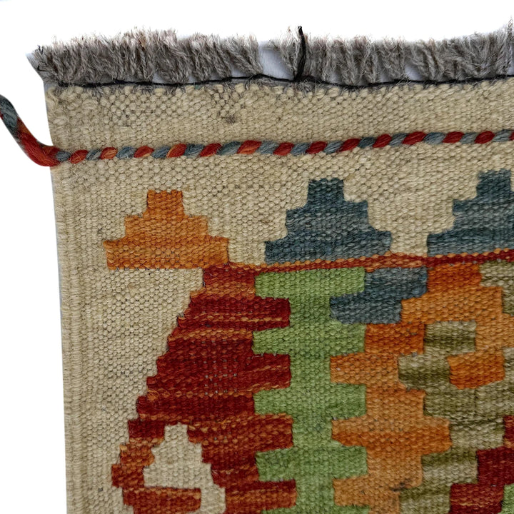 Afghan Vegetable Kilim Rug 2' 9" x 9' 7" Flat-Weave | No. AL23565