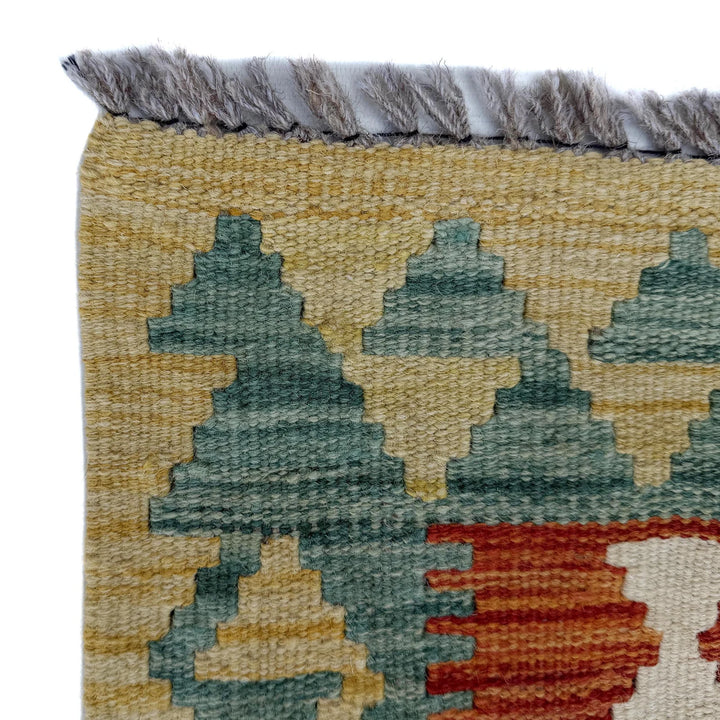 Afghan Vegetable Kilim Rug 2' 7" x 6' 1" Flat-Weave | No. AL23739