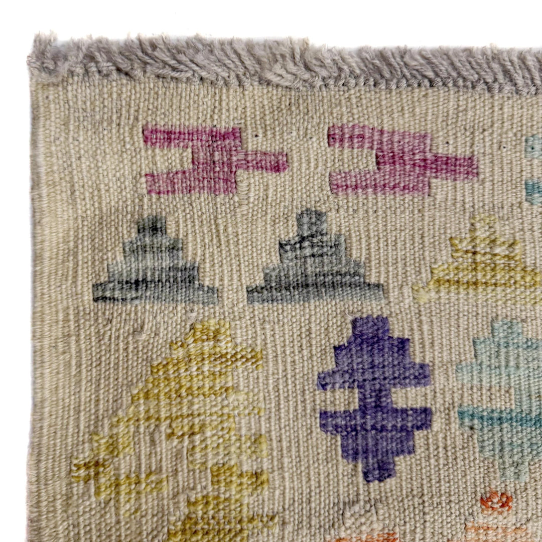 Afghan Vegetable Kilim Rug 10'7" x 13'0" Flat-Weave | No. AL257112