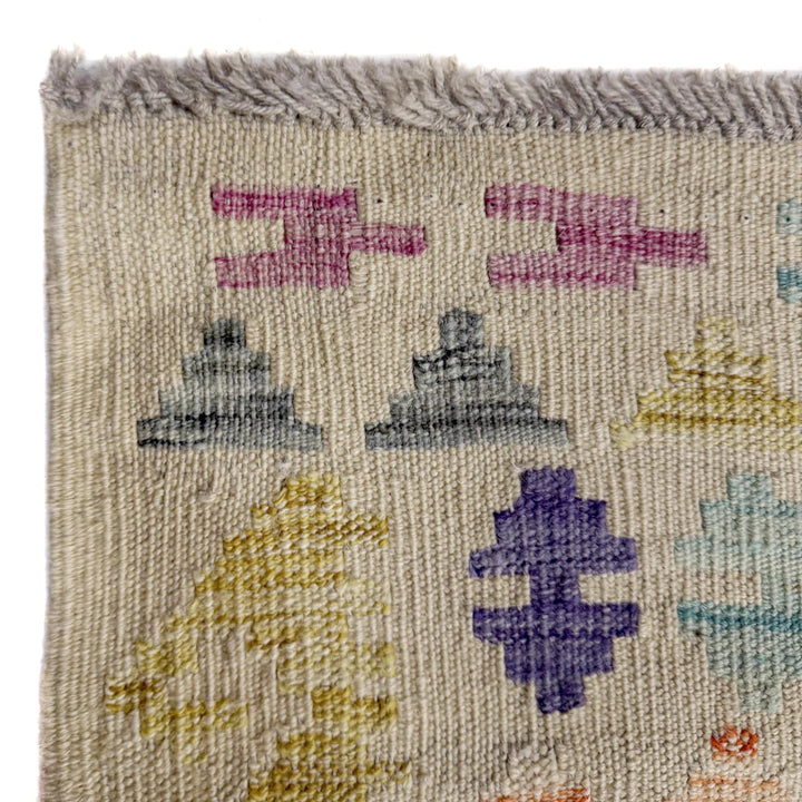 Afghan Vegetable Kilim Rug 10'7" x 13'0" Flat-Weave | No. AL257112