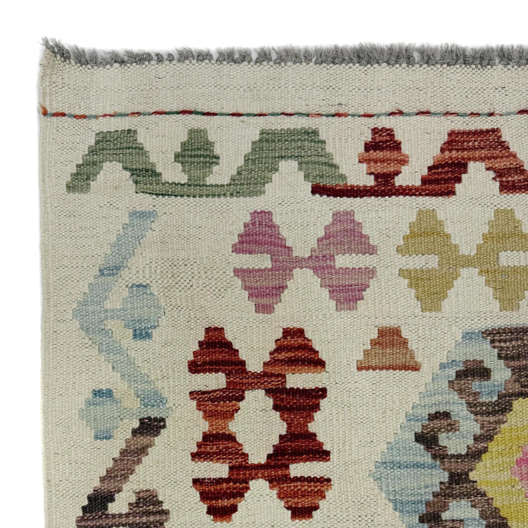 Afghan Vegetable Kilim Rug 2' 9" x 9' 7" Flat-Weave | No. AL266632