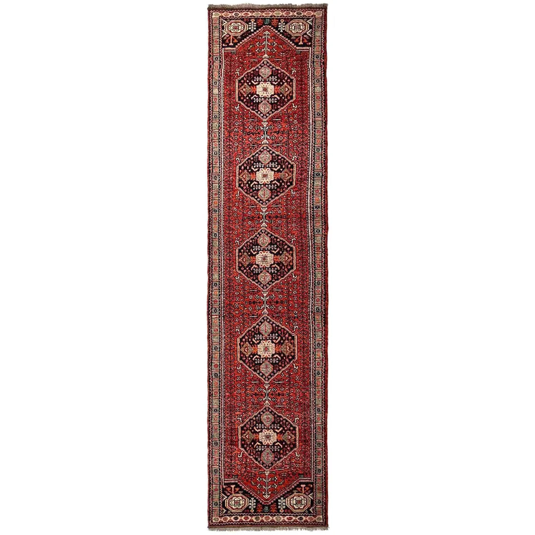 Afghan Shiraz Rug 2' 8" x 13' 0" Hand-Knotted | No. AL28846