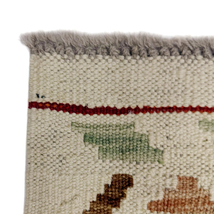 Afghan Kilim Rug 2' 10" x 9' 5" Flat-Weave | No. AL29327