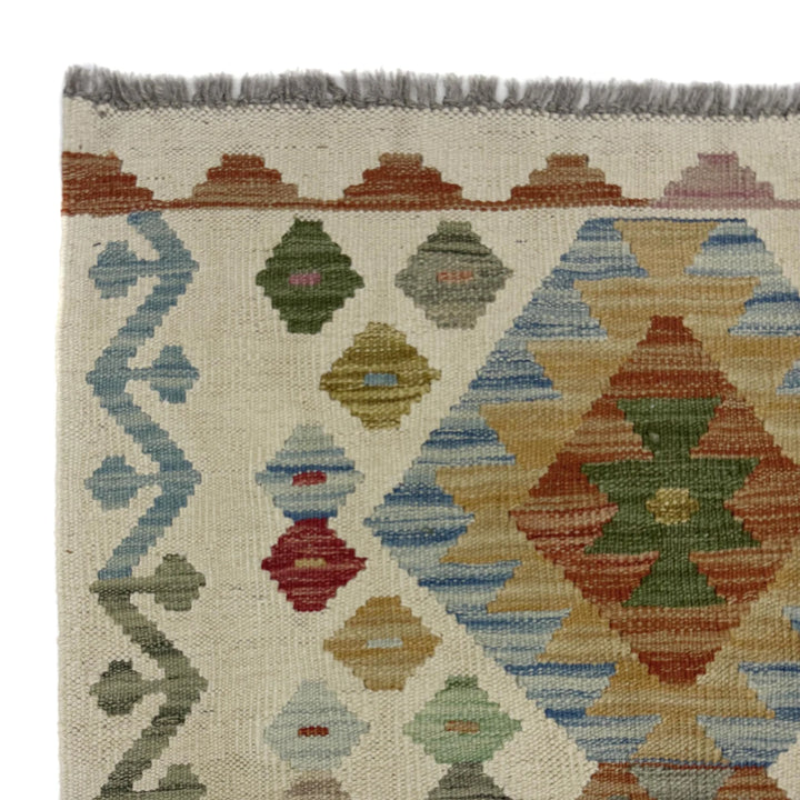 Afghan Vegetable Kilim Rug 2' 8" x 9' 9" Flat-Weave | No. AL341041