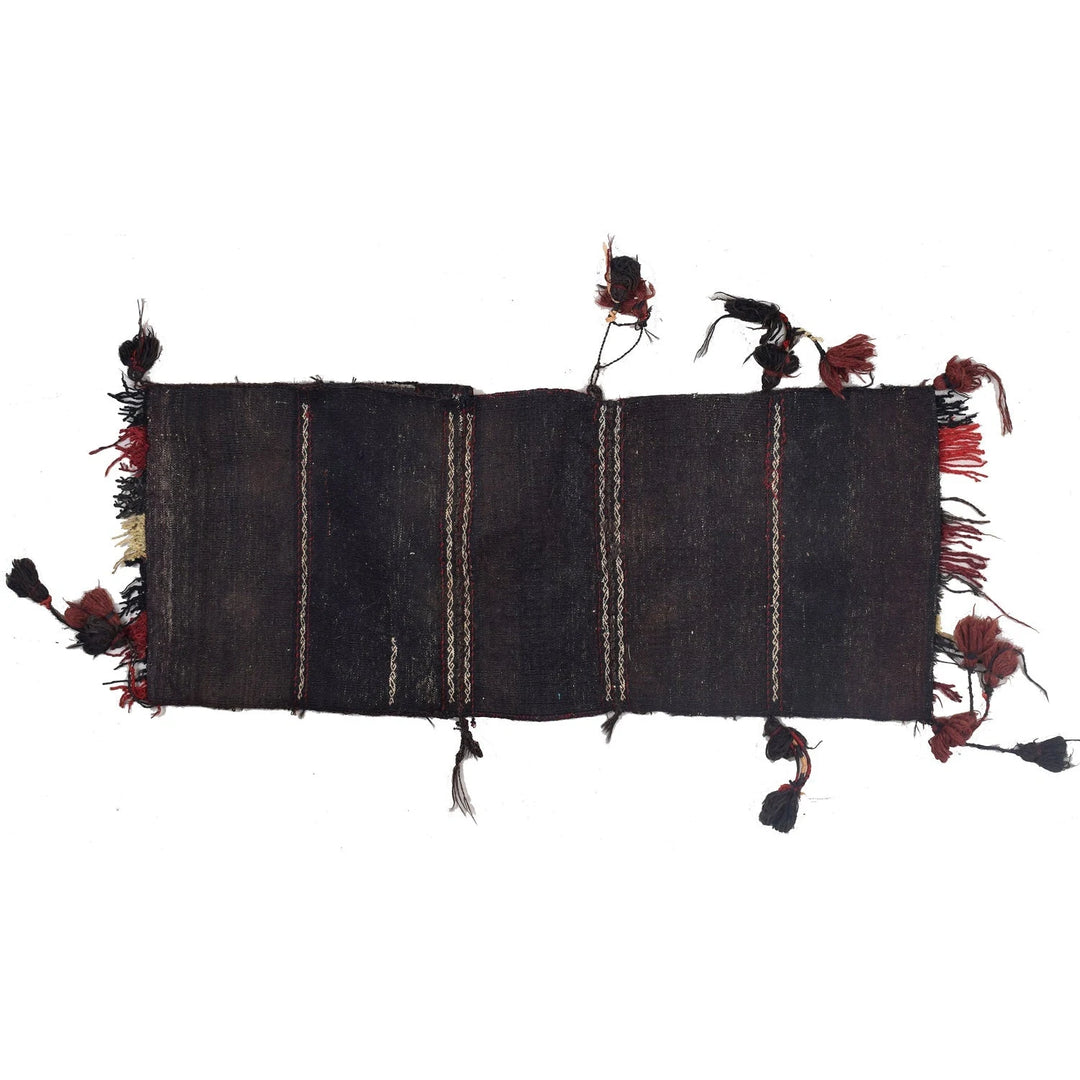 Afghan Baluch Saddle Bag Rug 1' 10" x 3' 10" Hand-Knotted | No. AL34969