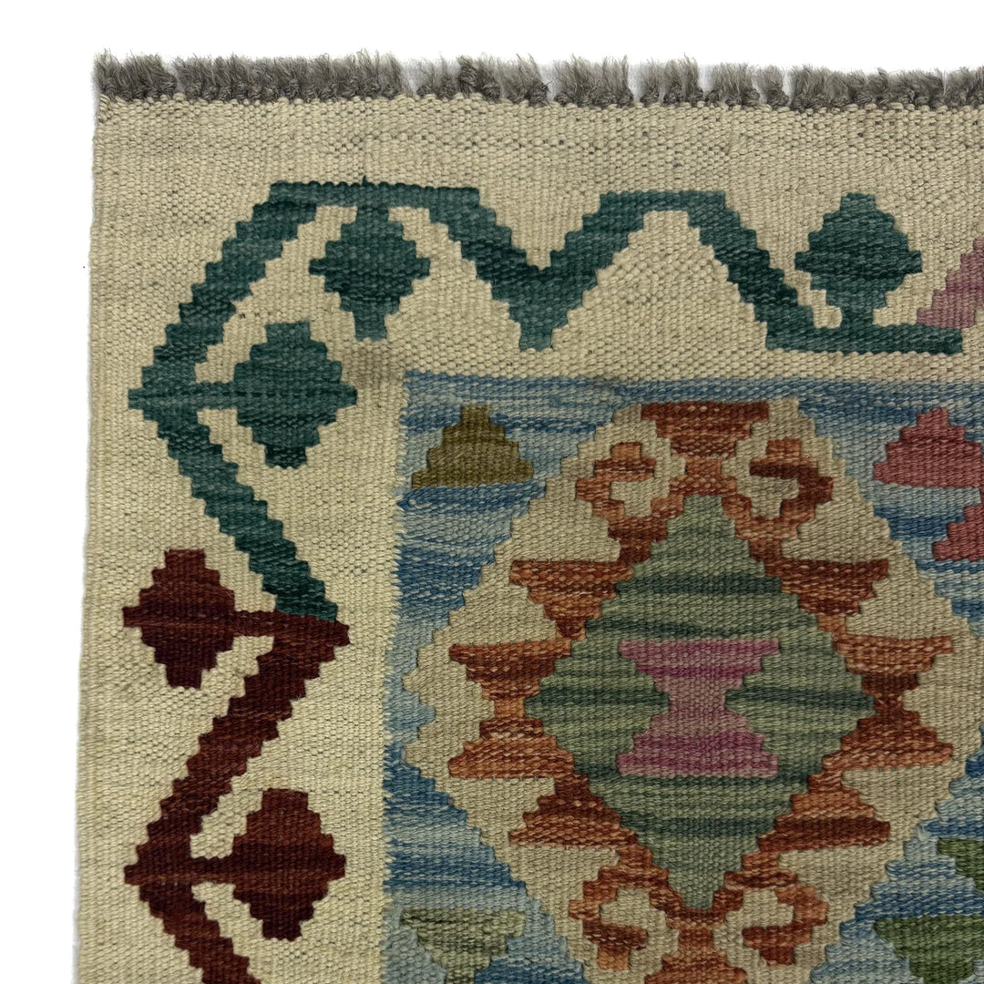 Afghan Vegetable Kilim Rug 2' 6" x 10' 2" Flat-Weave | No. AL351659