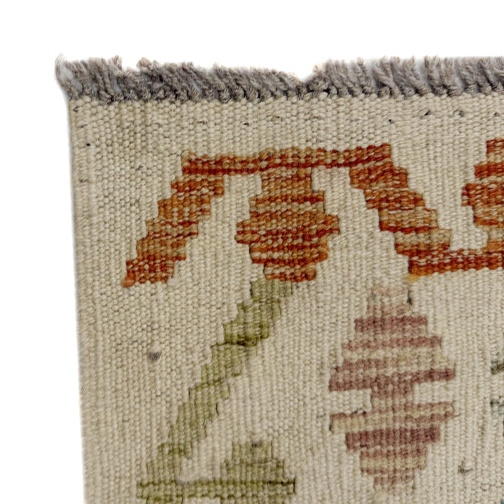 Afghan Vegetable Kilim Rug 2' 5" x 4' 3" Flat-Weave | No. AL354707
