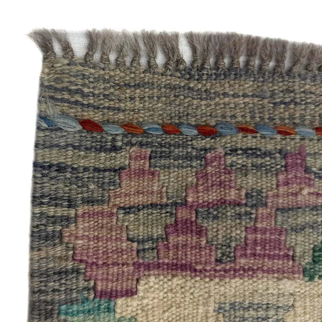 Afghan Vegetable Kilim Rug 2' 8" x 9' 10" Flat-Weave | No. AL437149