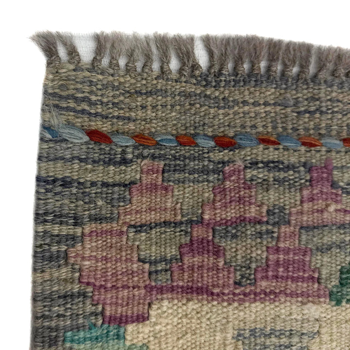 Afghan Vegetable Kilim Rug 2' 8" x 9' 10" Flat-Weave | No. AL437149