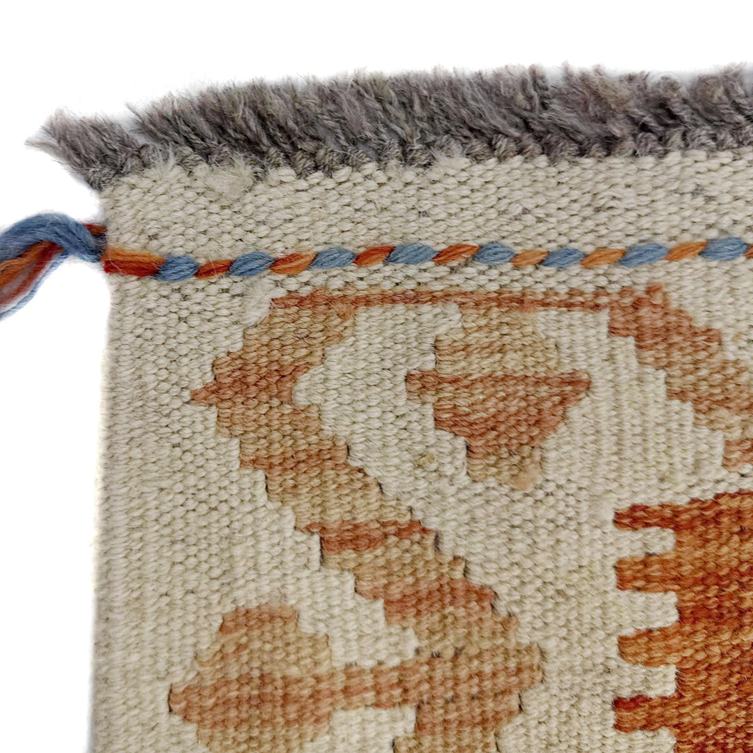 Afghan Vegetable Kilim Rug 2' 9" x 4' 0" Flat-Weave | No. AL439204