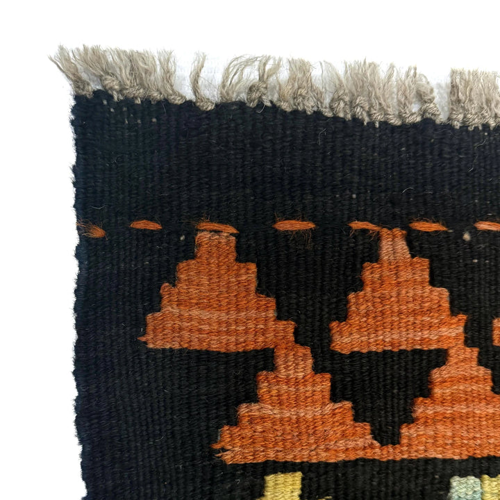 Afghan Kilim Rug 2' 9" x 9' 7" Flat-Weave | No. AL44276