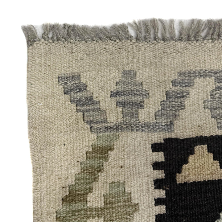 Afghan Vegetable Kilim Rug 2' 7" x 9' 10" Flat-Weave | No. AL546529
