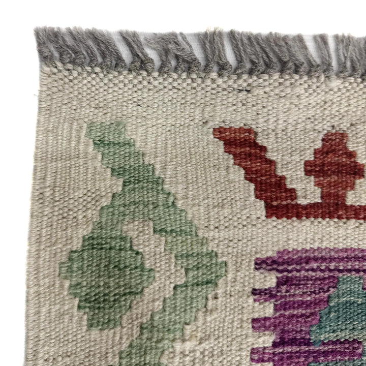 Afghan Vegetable Kilim Rug 8' 9" x 10' 2" Flat-Weave | No. AL577261