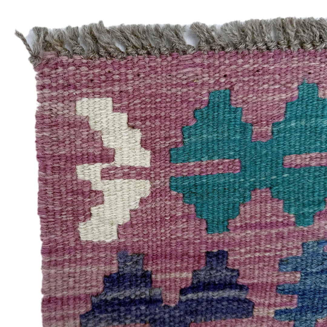 Afghan Vegetable Kilim Rug 2' 10" x 3' 10" Flat-Weave | No. AL59310