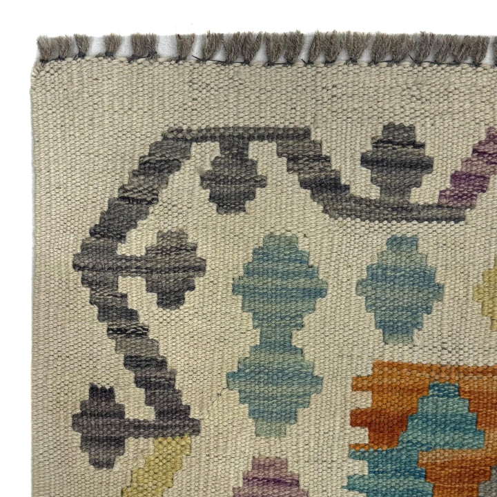 Afghan Vegetable Kilim Rug 2' 7" x 4' 0" Flat-Weave | No. AL609988
