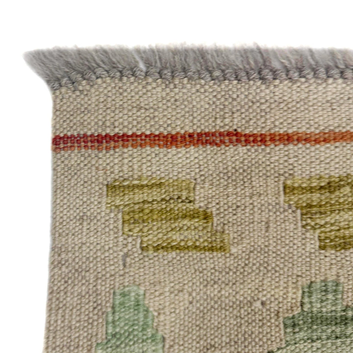 Afghan Vegetable Kilim Rug 2' 8" x 9' 6" Flat-Weave | No. AL649799