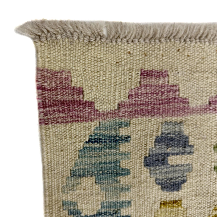 Multicolor Afghan Vegetable Kilim Rug 2'6" x 9'8" Flat-Weave | No. AL657242