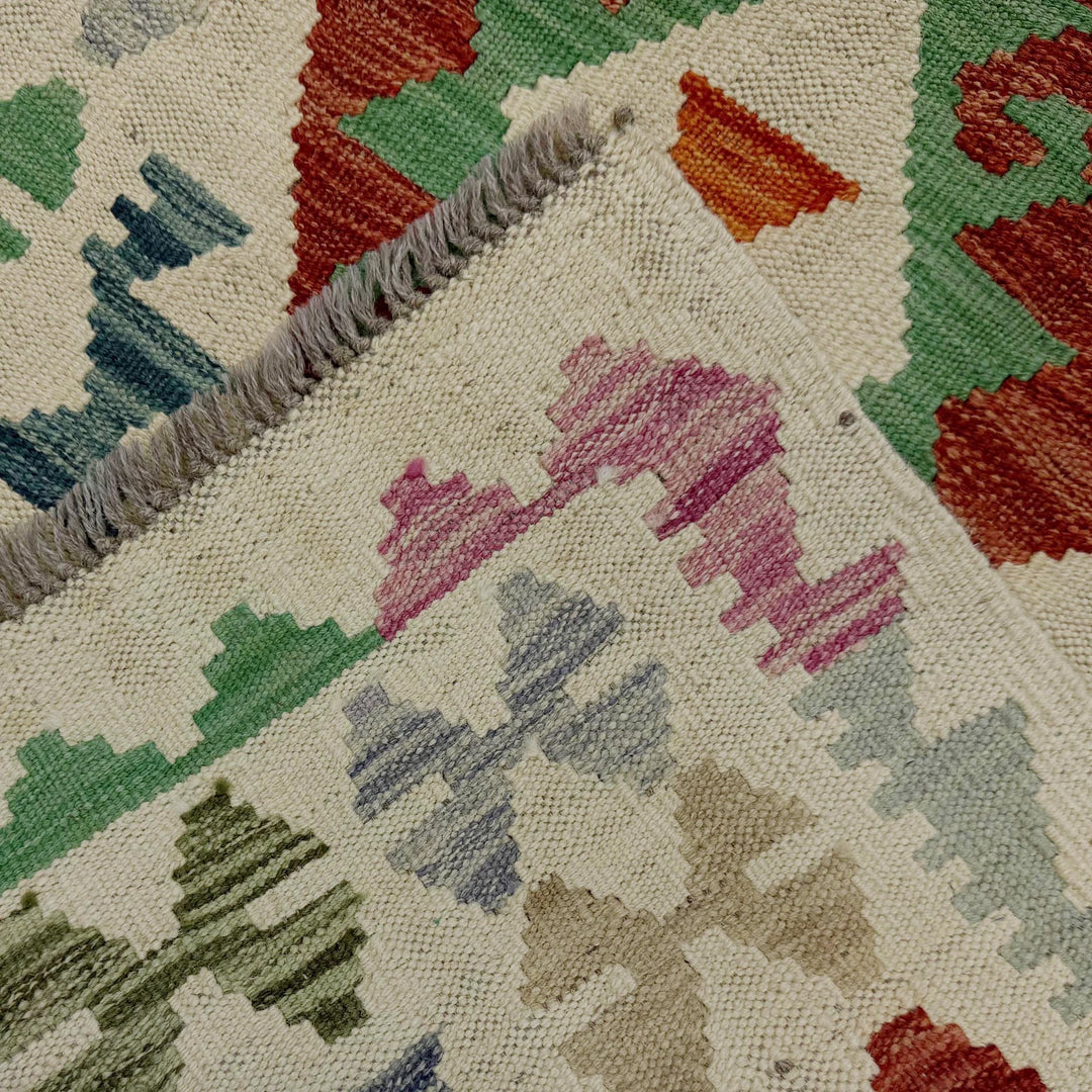 Afghan Vegetable Kilim Rug 2' 7" x 9' 9" Flat-Weave | No. AL684854
