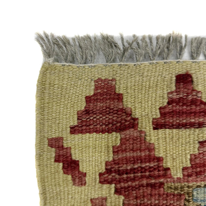 Afghan Vegetable Kilim Rug 3' 5" x 3' 8" Flat-Weave | No. AL701815