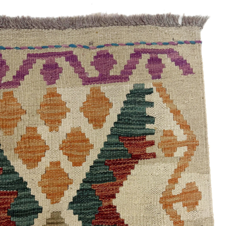 Afghan Vegetable Kilim Rug 2' 10" x 16' 2" Flat-Weave | No. AL744143
