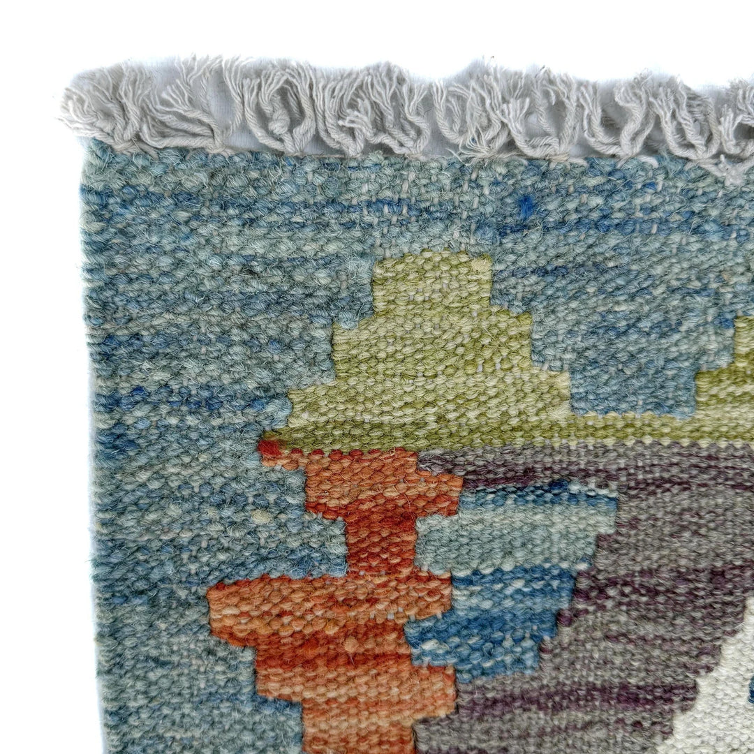 Afghan Vegetable Kilim Rug 2' 7" x 9' 4" Flat-Weave | No. AL76129