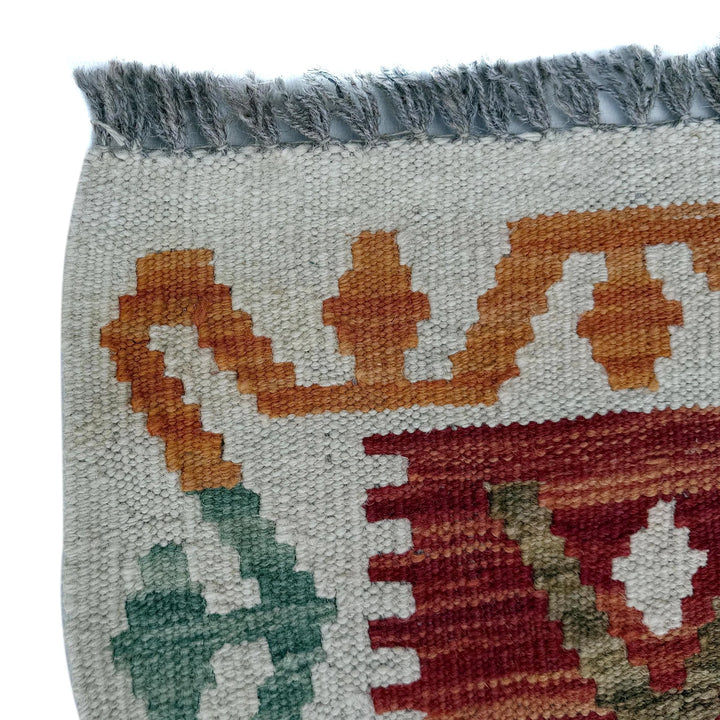 Afghan Vegetable Kilim Rug 2' 9" x 9' 9" Flat-Weave | No. AL79669