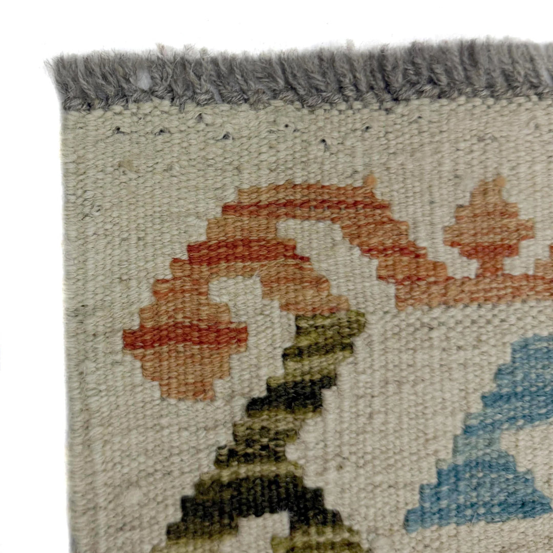 Afghan Vegetable Kilim Rug 1' 10" x 6' 0" Flat-Weave | No. AL910582