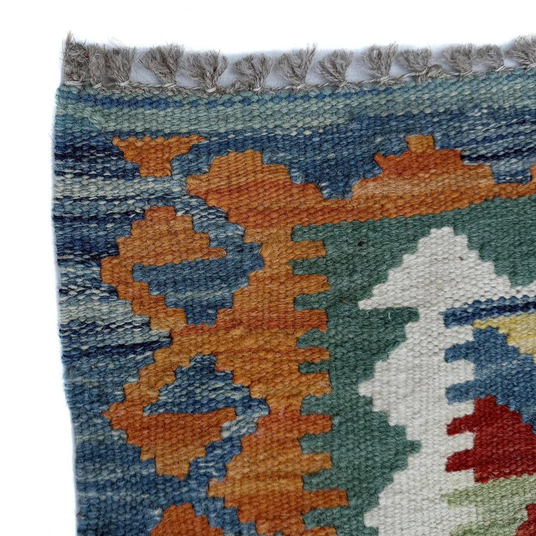 Afghan Vegetable Kilim Rug 2' 9" x 9' 11" Flat-Weave | No. AL91535