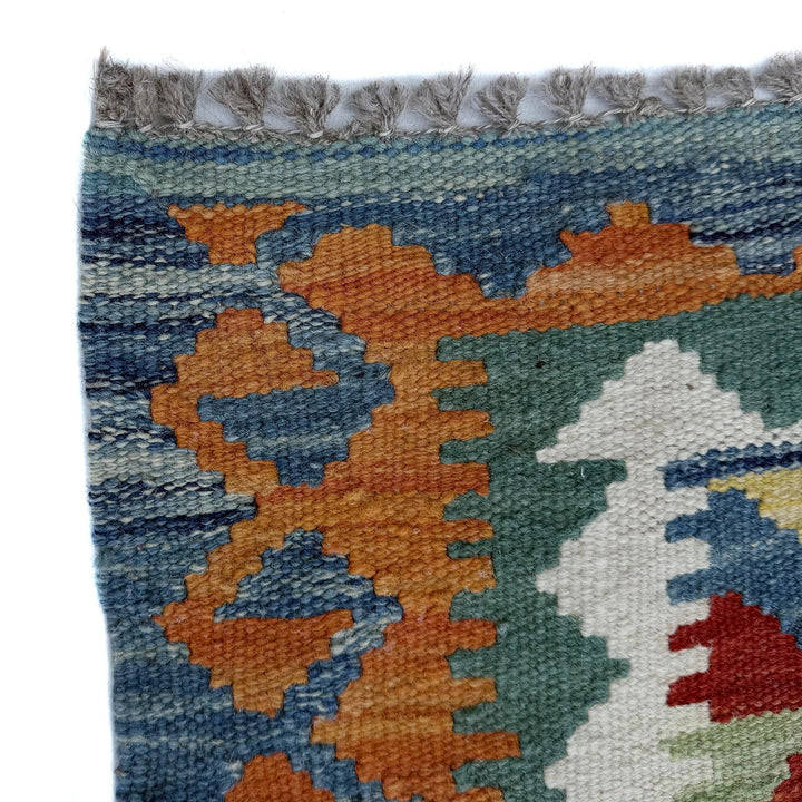 Afghan Vegetable Kilim Rug 2' 9" x 9' 11" Flat-Weave | No. AL91535