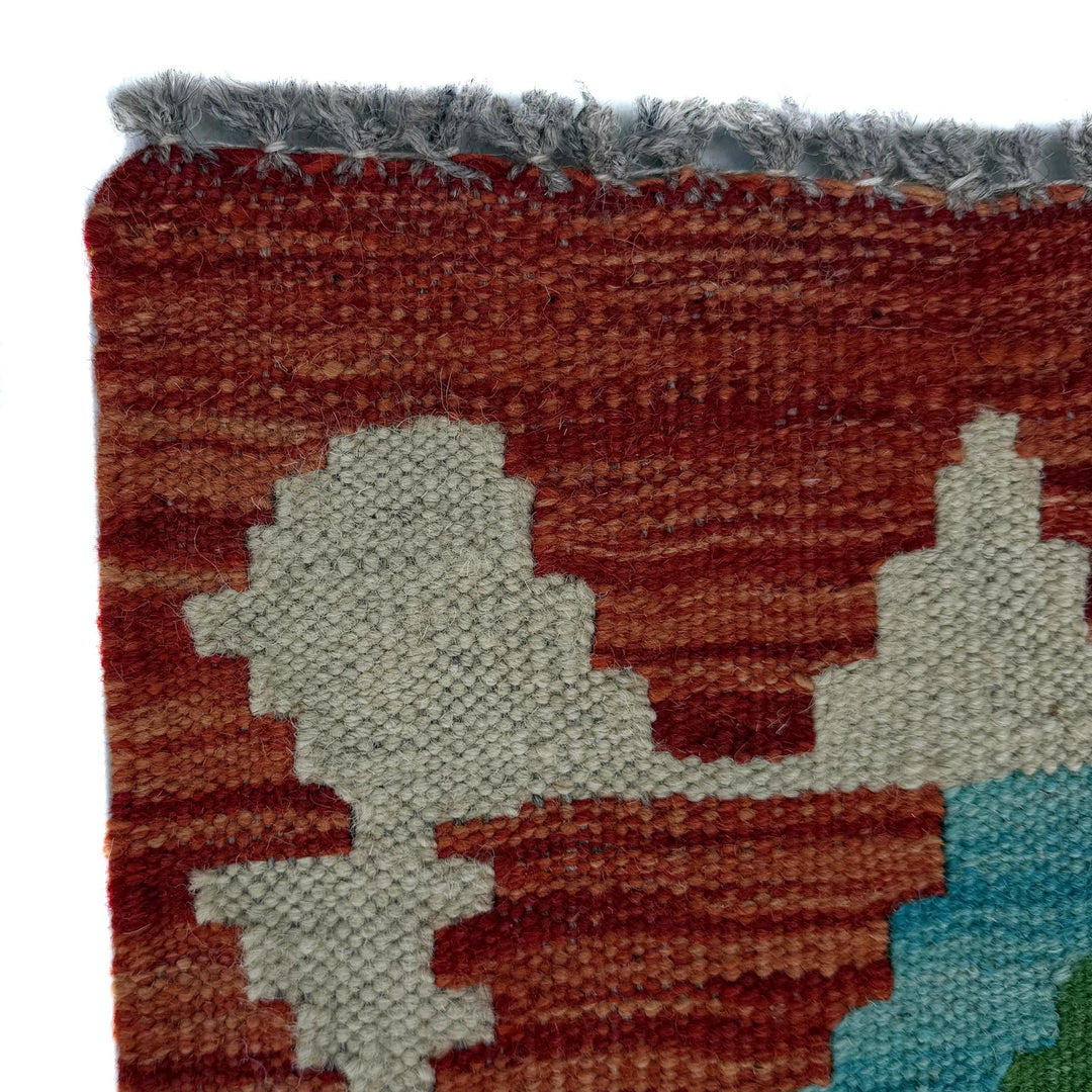 Afghan Vegetable Kilim Rug 2' 9" x 9' 8" Flat-Weave | No. AL92270