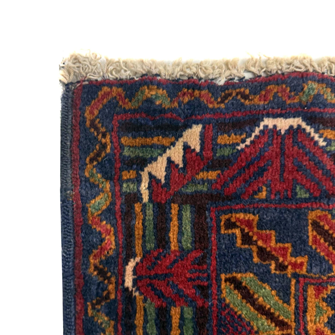 Multicolor Afghan Baluchi Rug 2' 9" x 4' 3" Hand-Knotted | No. AL94253