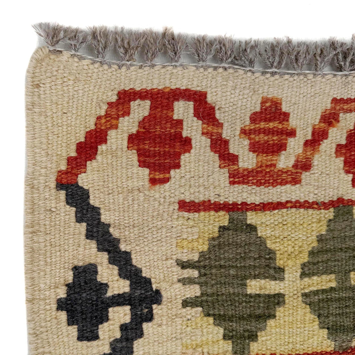 Afghan Vegetable Kilim Rug 2' 7" x 9' 6" Flat-Weave | No. AL97809