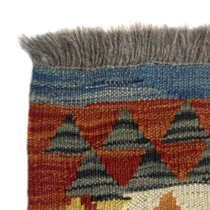 Afghan Vegetable Kilim Rug 2'9" x 4'1" Flat-Weave | No. AL986762
