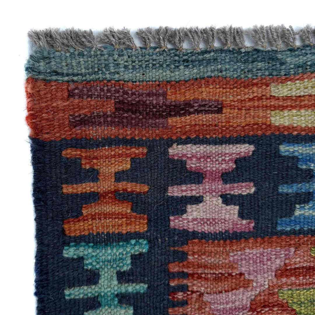 Afghan Vegetable Kilim Rug 2' 5" x 4' 0" Flat-Weave | No. AL99244