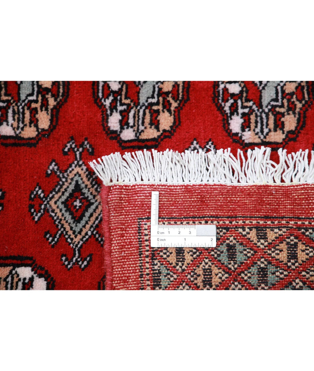 Pakistani Bokhara Rug 10' 2" x 13' 11" Hand-Knotted | No. AT12901